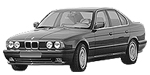 BMW E34 P1444 Fault Code